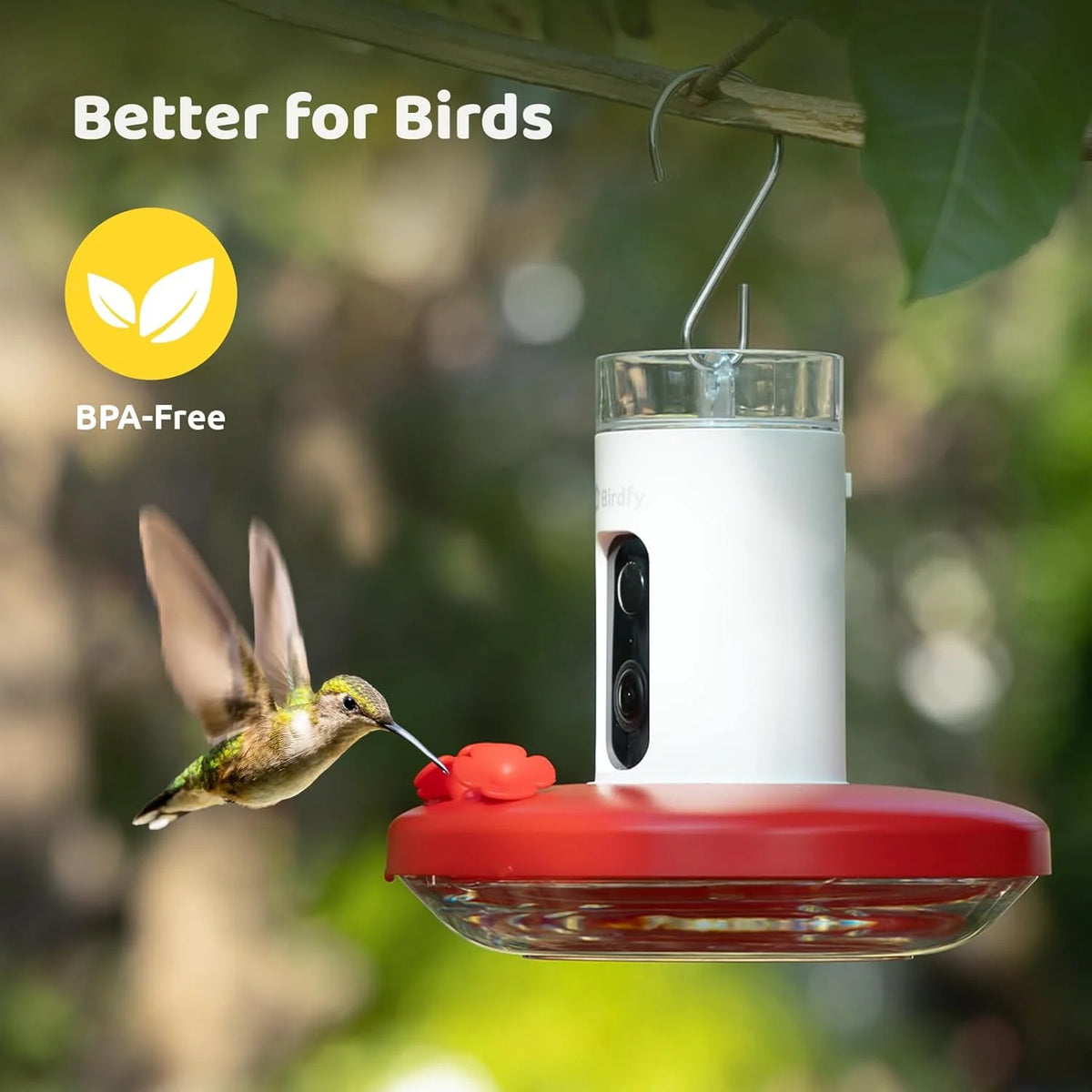 Hummingbird Feeder (Outdoor Hanging Type. with Camera. Ant-proof Groove). supports real-time viewing via 1080P high-definition application. equipped with artificial intelligence hummingbird recognition function. automatic recording and alarm function