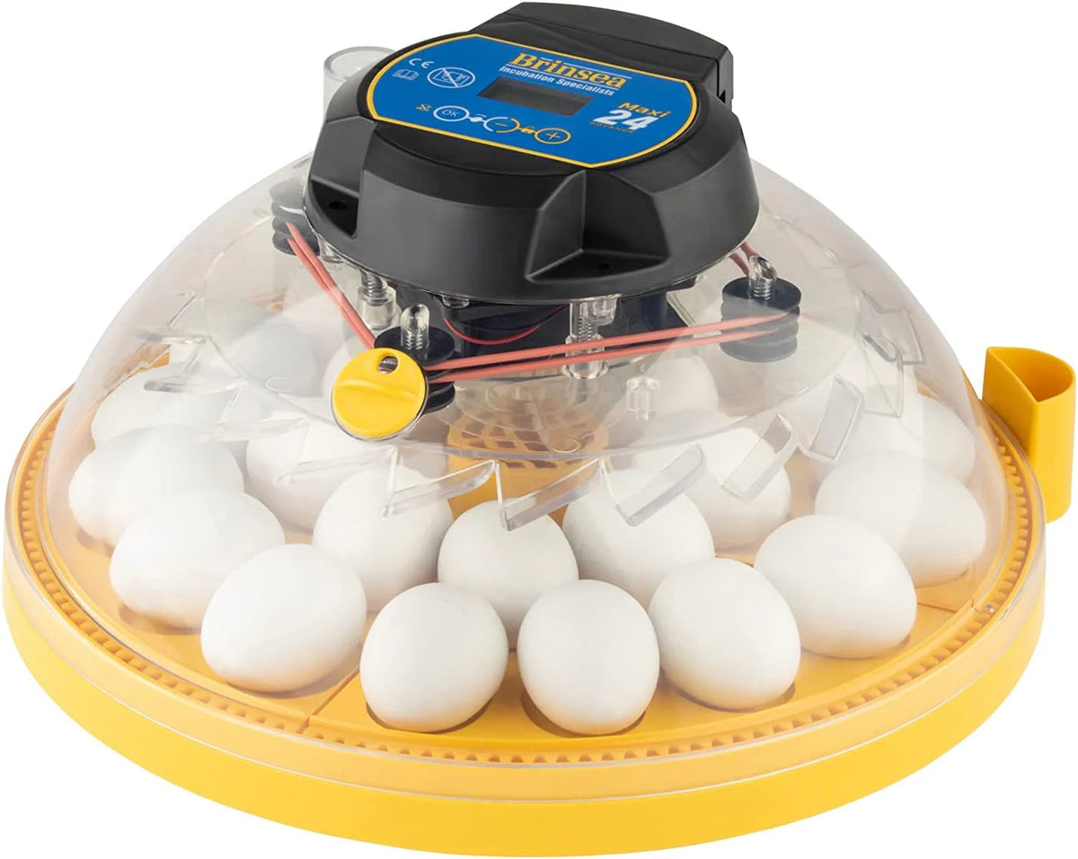 A 24-position automatic egg incubator with constant temperature control function. suitable for hatching 24 eggs. duck eggs or other egg types. It offers the best flexibility and can be used with eggs of different sizes.
