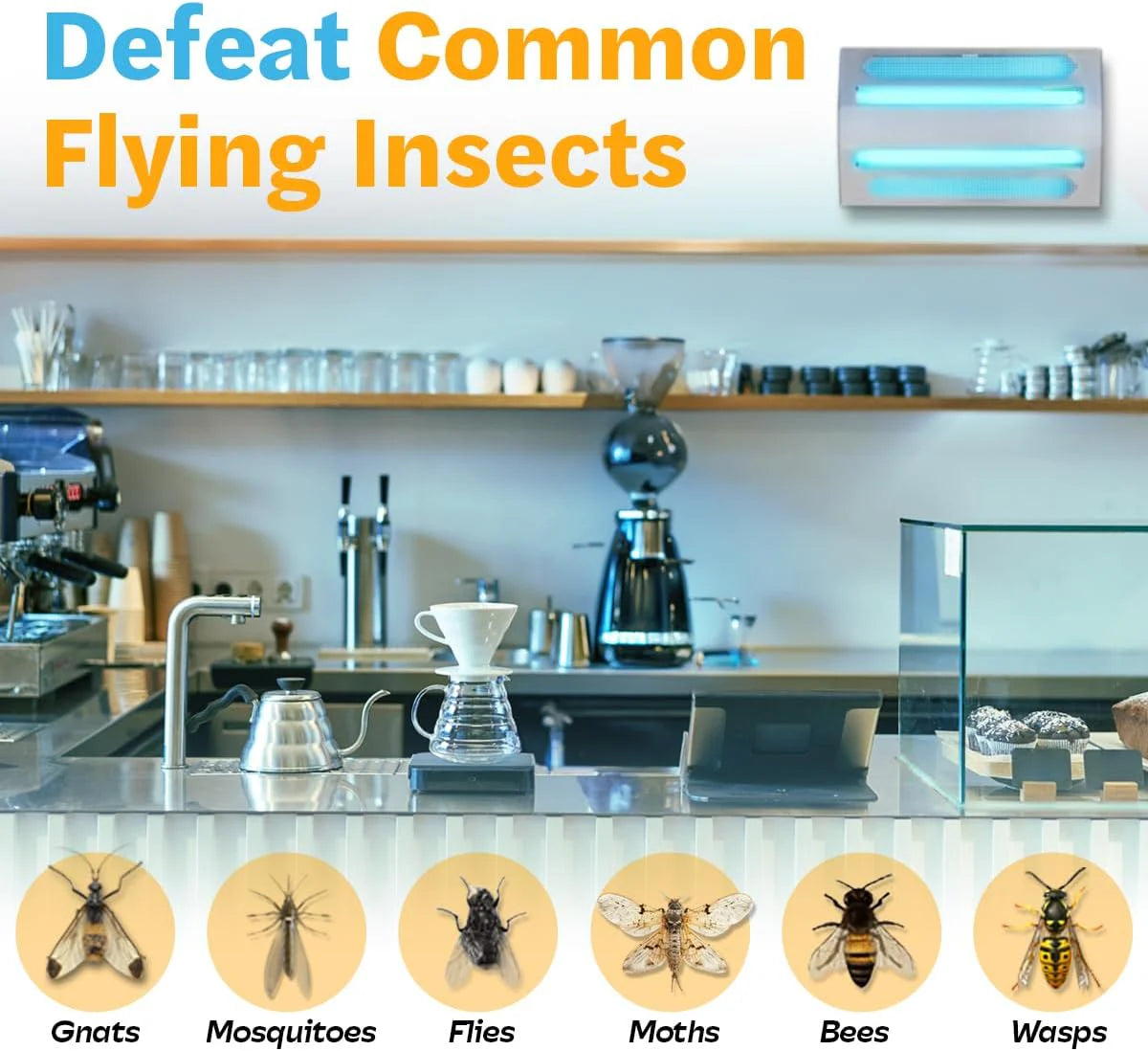An indoor wall-mounted ultraviolet fly trap. used for catching flies. moths. mosquitoes and other flying insects.
