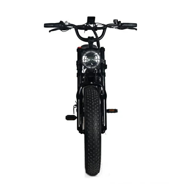 Electric Mountain Bike for Adults | 20 x 4.0 Fat Tires. 1000W Motor. 48V 20Ah Removable Battery. Max Speed 45MPH. Shi Mano 7-Speed for Off-Road Adventures