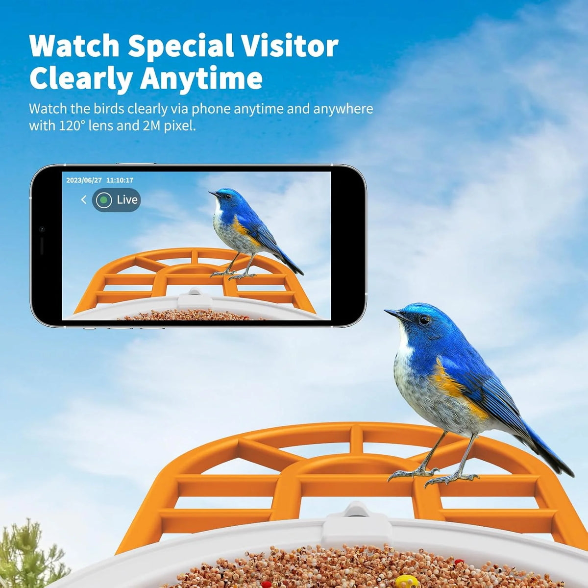 Bird Feeder with Camera with AI Identify Birds Species Solar Panel. Smart Bird House with Cam. 2K Live View. Instant Arrival Alerts