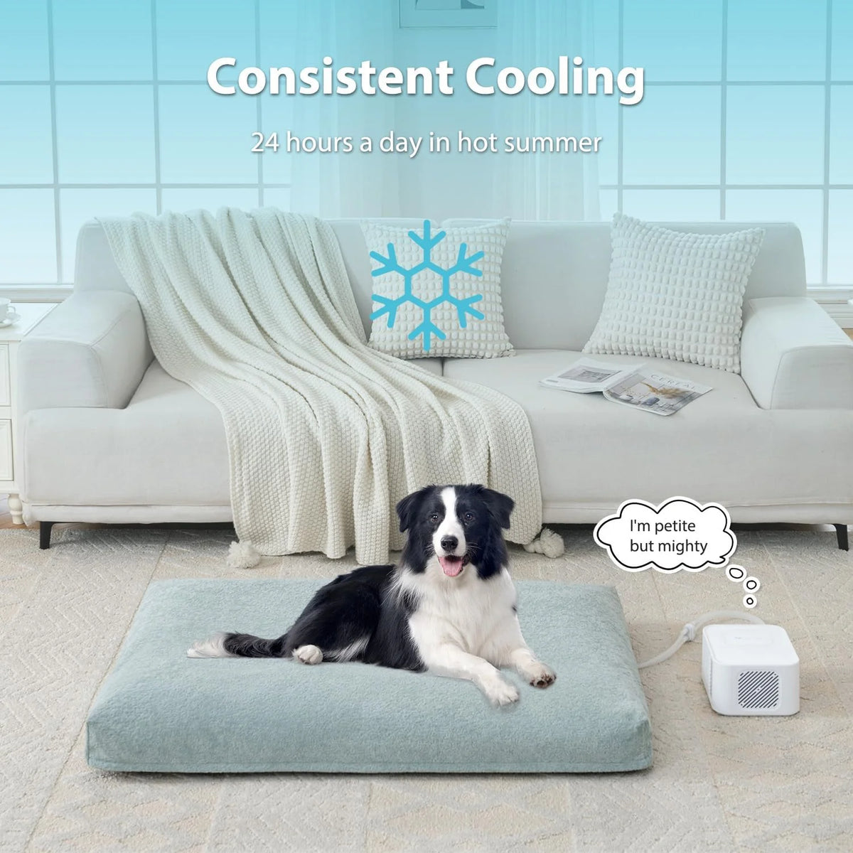 Pet Bed Cooling System. Consistent Warm and Cold Water Pad. No Electric Shock or Chemical Gel Needed. Machine Washable Bed. Ideal for Home and Crates (Cooling & Heating Green. 41 x 28)