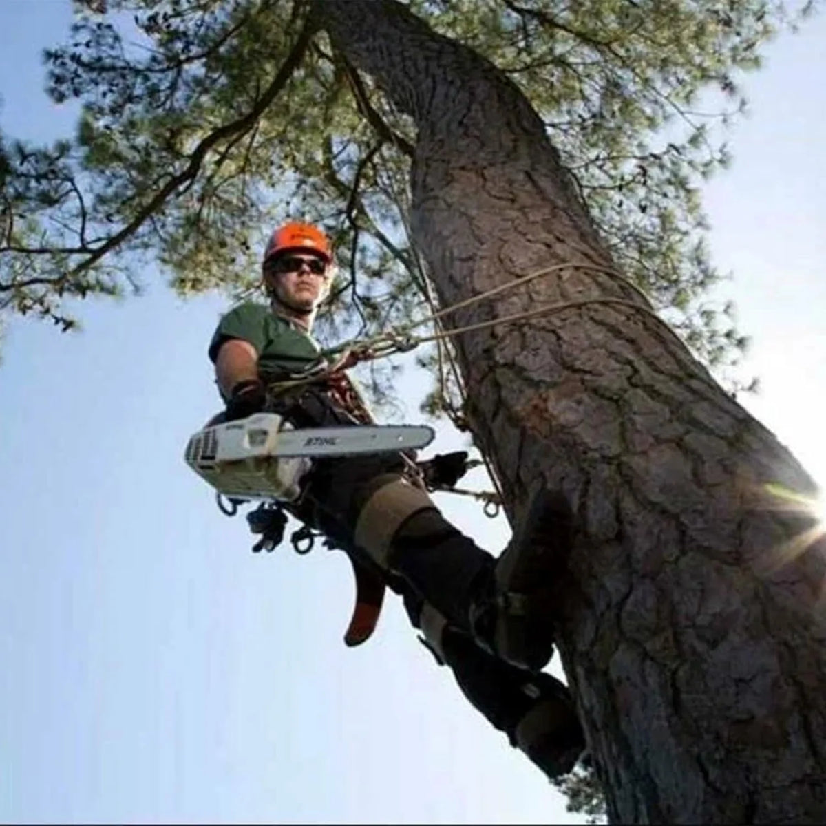 Tree Climbing Gear. Tree Climbing Spikes .with Adjustable Climbing Straps and Steel Core Flip Line Arborist Equipment for Climbers. Hunting. Fruit Picking  .Logging. Climbing Etc