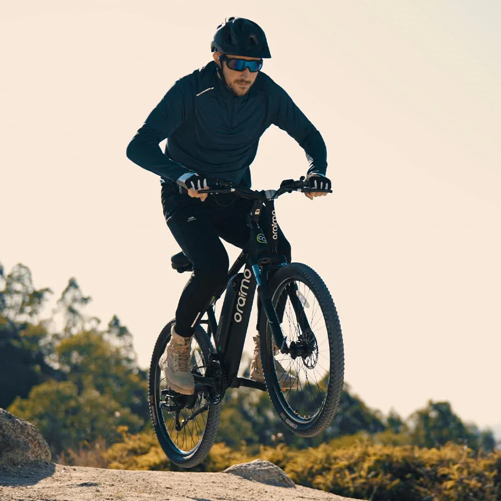 Electric Bike for Adults with 350W BAFANG Motor