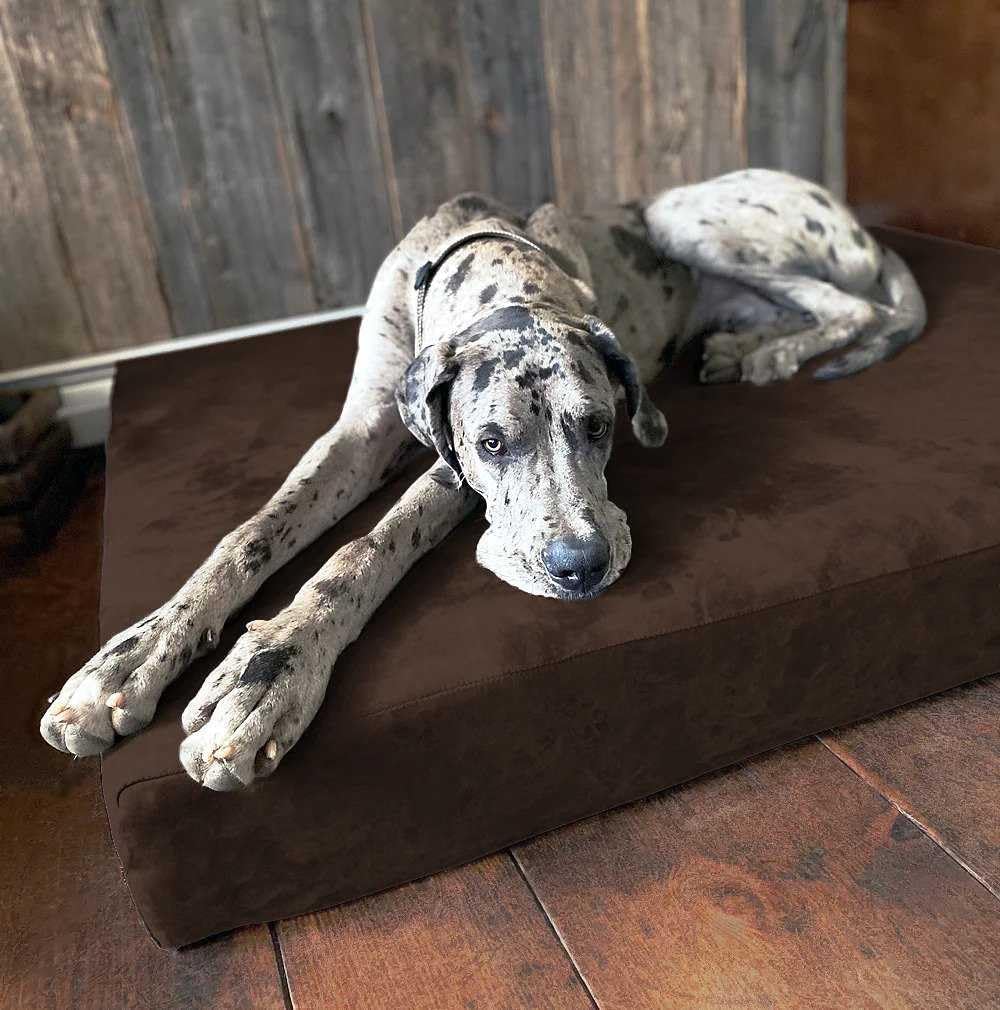 Fashion oversized dog bed (XL size. dark gray) - Thickness 7 inches. soft and comfortable. ergonomic cushion - Oversized dog bed - Durable and washable microfiber cover