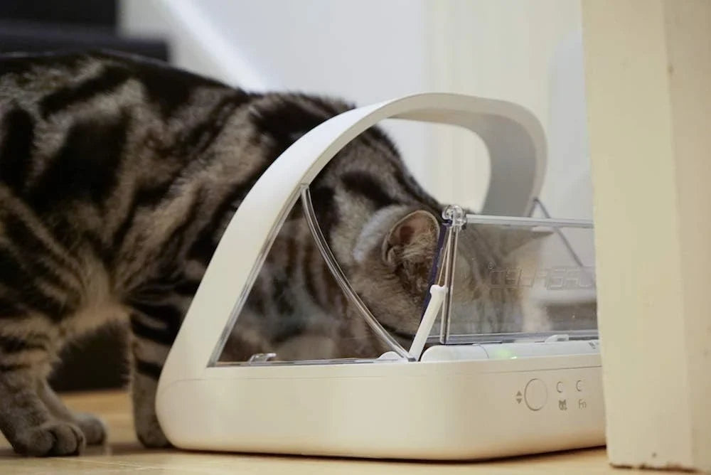Sure Petcare SureFeed Mikrochip-Futterautomat für Haustiere. mit dichtem Deckelverschluss. kompatibel mit RFID-Halsbandanhänger. geeignet für Nass-