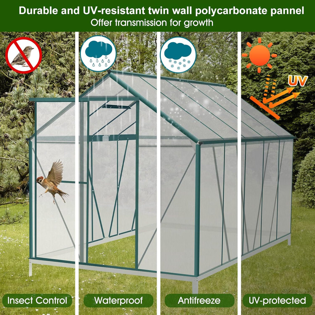 6'x10' Walk-in Greenhouse with 4mm 800G Polycarbonate Panels - Heavy-Duty Aluminum Frame. Wind/Snow Resistant for Gardening. Includes Sliding Door & Ventilation Windows (Green)