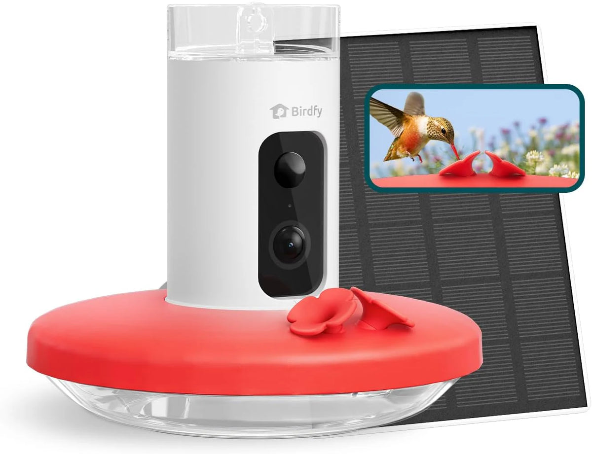 Hummingbird Feeder (Outdoor Hanging Type. with Camera. Ant-proof Groove). supports real-time viewing via 1080P high-definition application. equipped with artificial intelligence hummingbird recognition function. automatic recording and alarm function