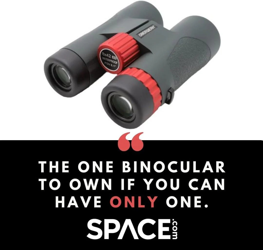 Binoculars (8x42mm) - Suitable for adults. hiking and outdoor activities. as well as for advanced bird watching. Professional type binoculars.