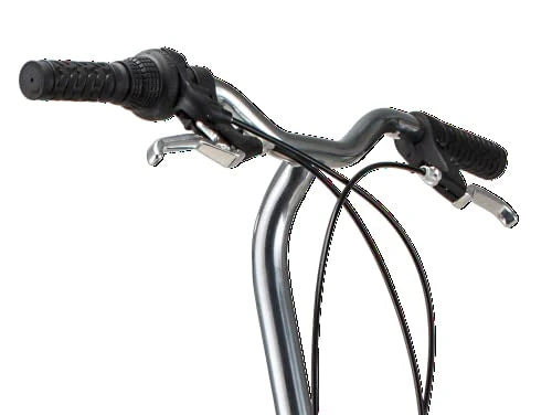 20-Inch Folding Adult Bike for Men and Women. 7-Speed Drivetrain