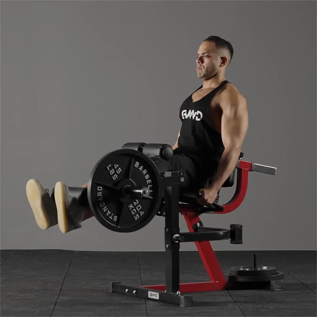 Leg Extension and Curl Machine. Lower Body Special Leg Machine. Adjustable Leg Exercise Bench with Plate Loaded. Leg Rotary Extension for Thigh. Home Gym Weight Machine