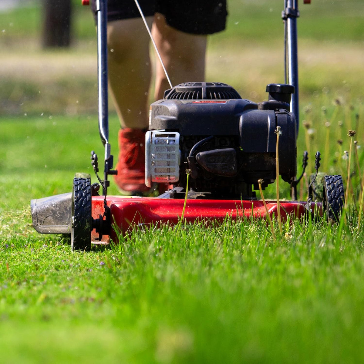 20-inch steel cutting deck. side-discharge gasoline-powered push lawn mower. with engine oil. available in red and black. suitable for outdoor yards.