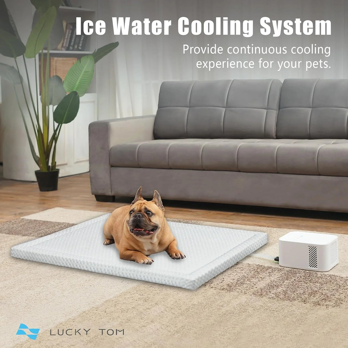 Pet Bed Cooling System. Consistent Warm and Cold Water Pad. No Electric Shock or Chemical Gel Needed. Machine Washable Bed. Ideal for Home and Crates (Cooling & Heating Green. 41 x 28)