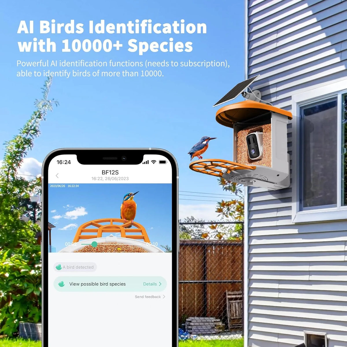 Bird Feeder with Camera with AI Identify Birds Species Solar Panel. Smart Bird House with Cam. 2K Live View. Instant Arrival Alerts