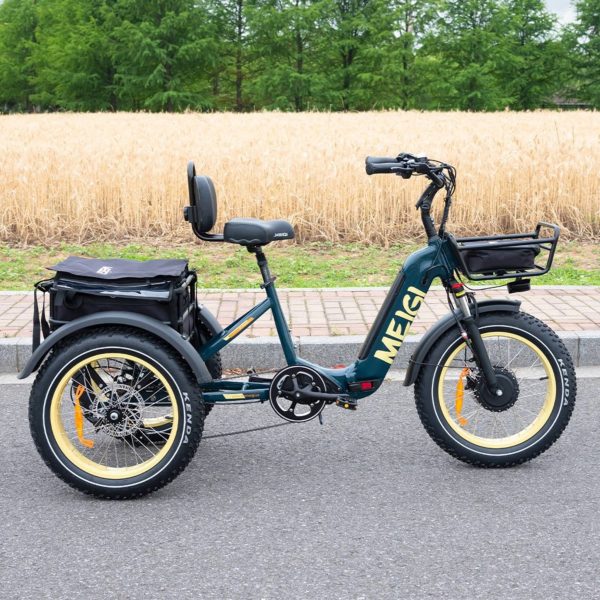 48V 14Ah 750W Foldable Fat Tire Electric Trike. 330-Lb. Capacity