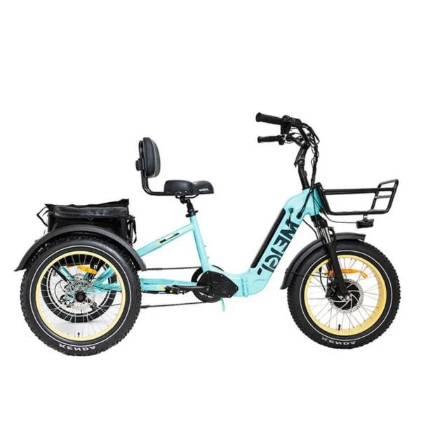 48V 14Ah 750W Foldable Fat Tire Electric Trike. 330-Lb. Capacity