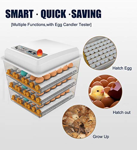 Egg Incubator - Egg Incubator with Automatic Egg Turning and Humidity Control.Large Poultry Hatcher for Chickens Birds Ducks (176 Eggs)