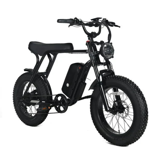 Electric Mountain Bike for Adults | 20 x 4.0 Fat Tires. 1000W Motor. 48V 20Ah Removable Battery. Max Speed 45MPH. Shi Mano 7-Speed for Off-Road Adventures