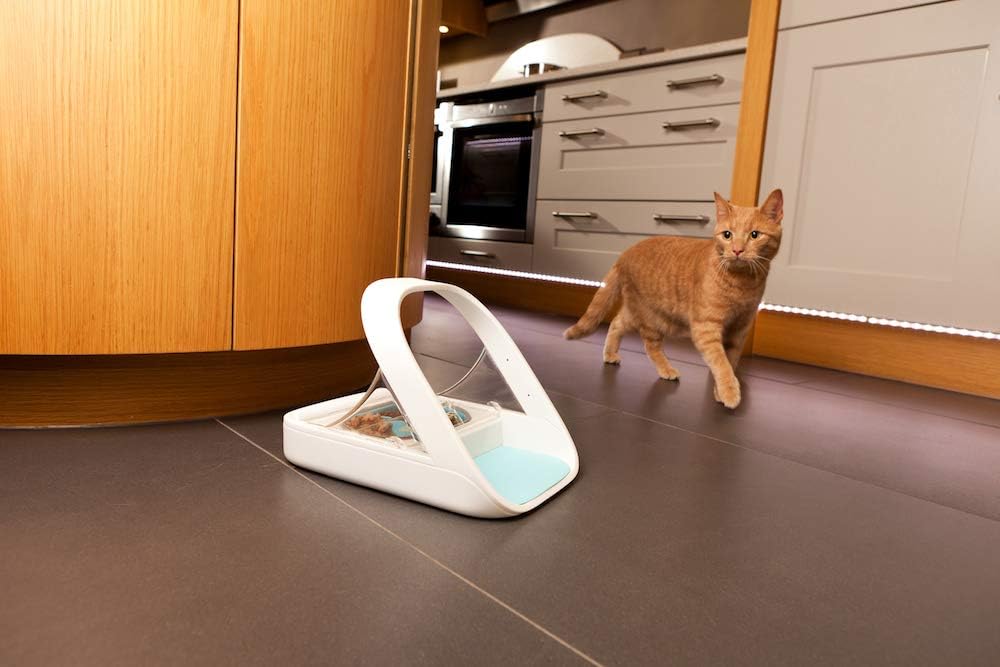 Sure Petcare SureFeed Mikrochip-Futterautomat für Haustiere. mit dichtem Deckelverschluss. kompatibel mit RFID-Halsbandanhänger. geeignet für Nass-