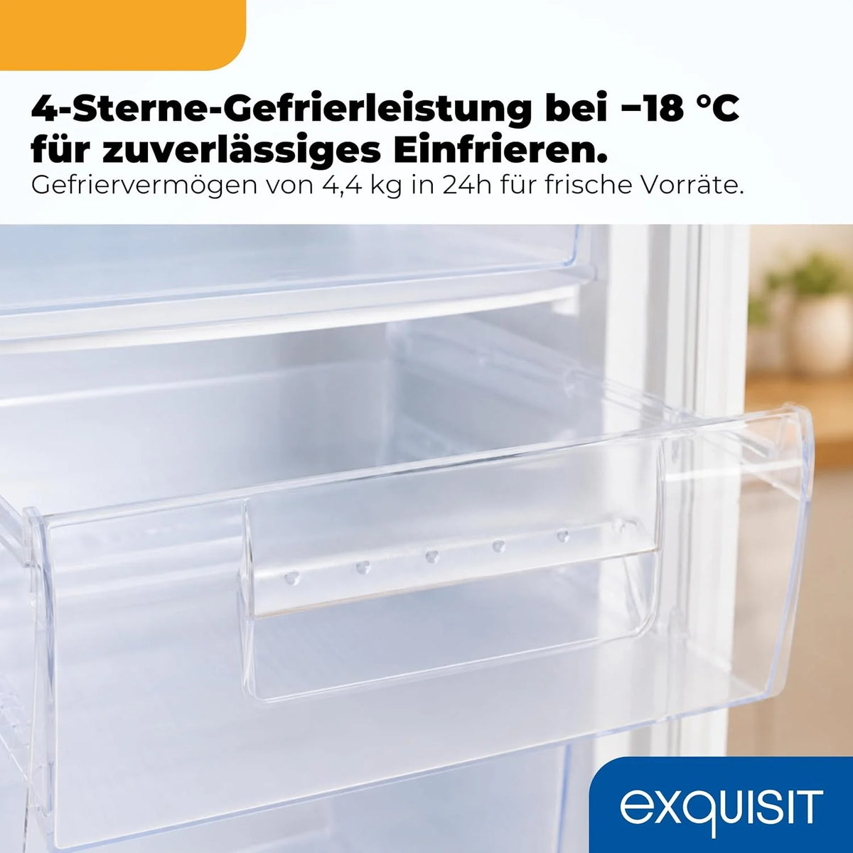Exquisit Gefrierschrank | 91 l Nutzinhalt. Energieeffizienzklasse E. 40 dB(A) | kompakte Bauform. 4-Sterne-Gefrieren. manuelle Temperaturregelung.