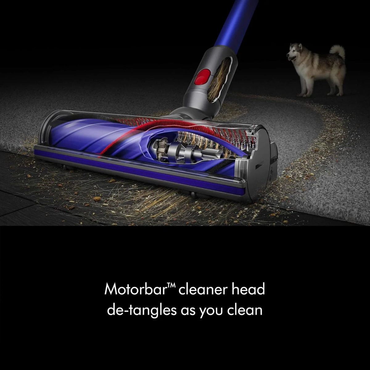 V11 Origin Cordless Vacuum. Nickel/Blue