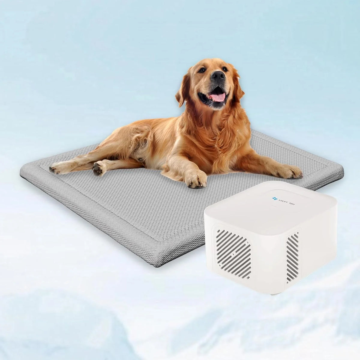Pet Bed Cooling System. Consistent Warm and Cold Water Pad. No Electric Shock or Chemical Gel Needed. Machine Washable Bed. Ideal for Home and Crates (Cooling & Heating Green. 41 x 28)