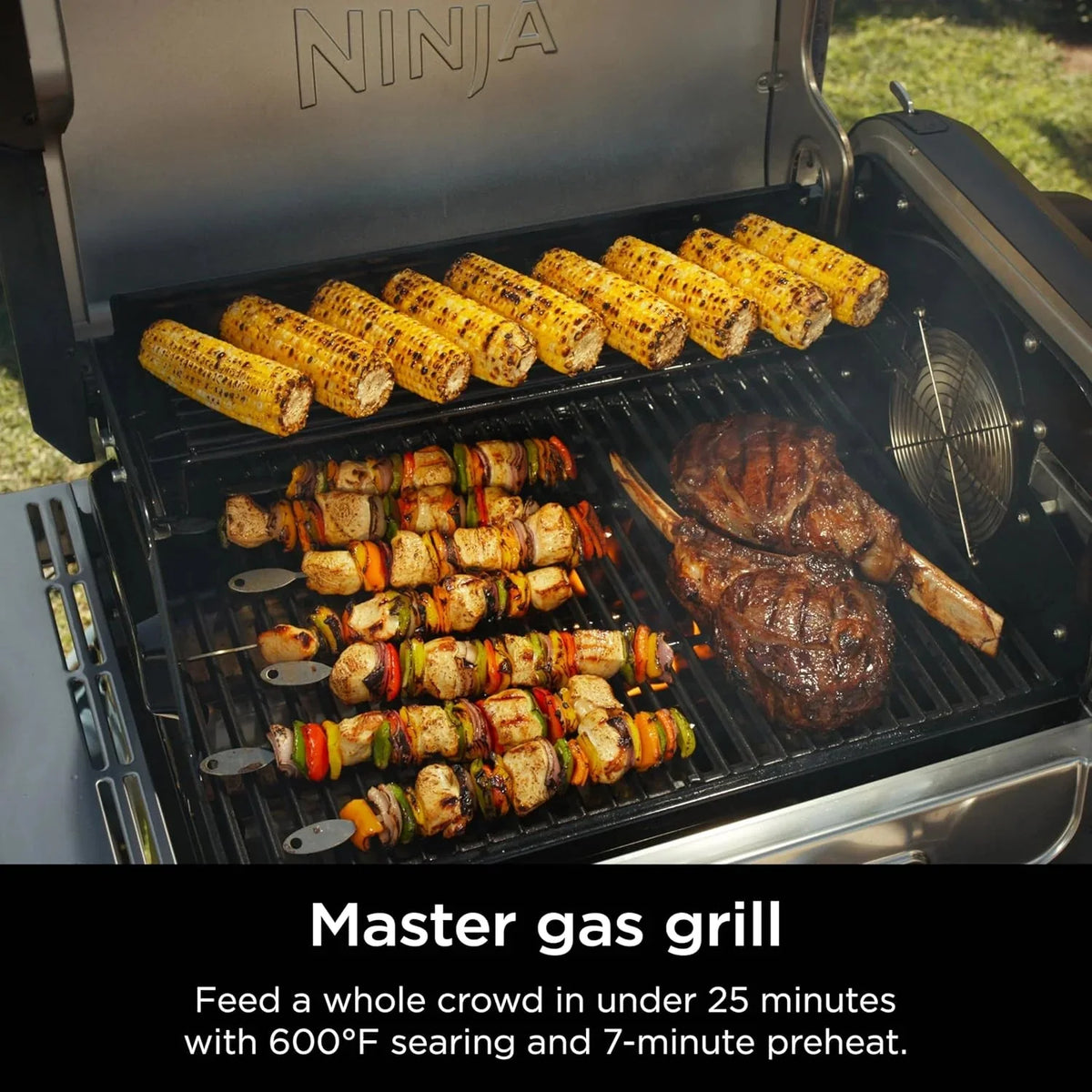 5-in-1 Electric and Propane Grill. 3-Burner Outdoor BBQ Grill and Smoker with Digital Controls. Griddle and Pizza Maker. Stainless Steel