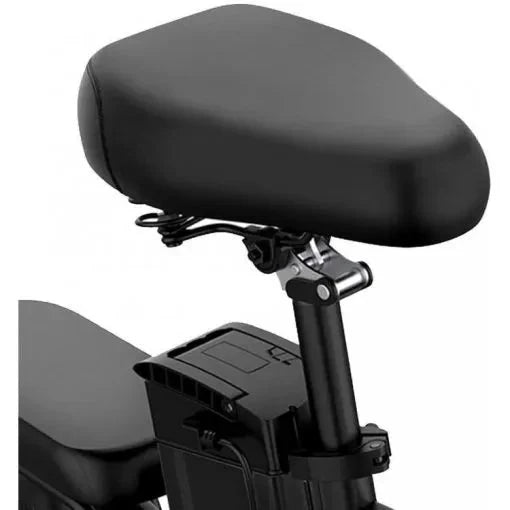 250W Folding Electric Bike for Adults and Teens. Removable Battery. Fat Tires. Black