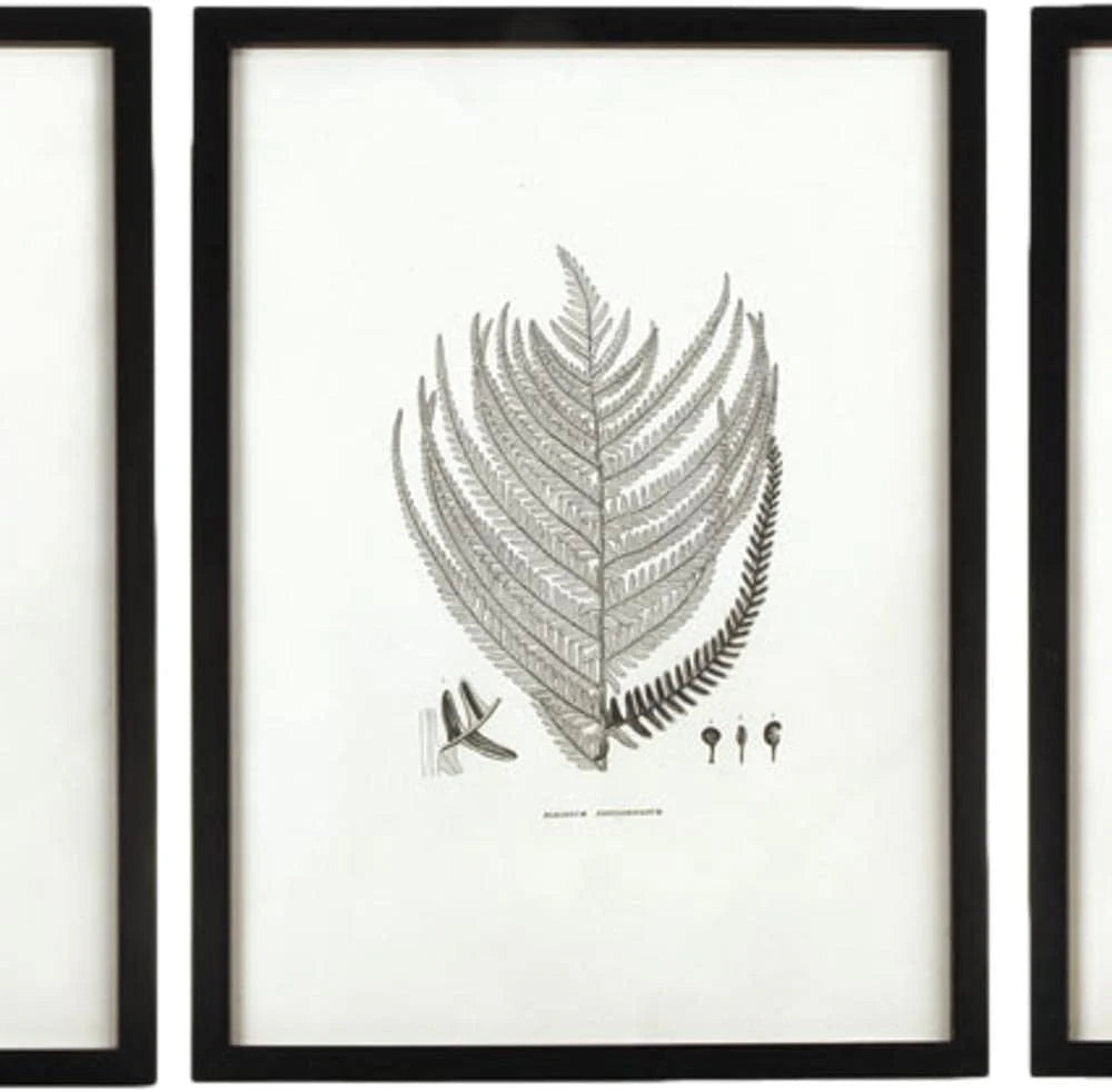 MY SWANKY HOME Modern Set of 6 Black White Fern Prints Botanical Framed Monochrome 29 in