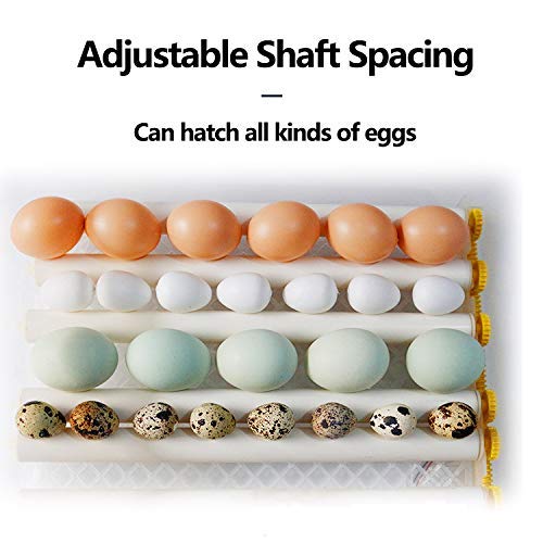 Egg Incubator - Egg Incubator with Automatic Egg Turning and Humidity Control.Large Poultry Hatcher for Chickens Birds Ducks (176 Eggs)