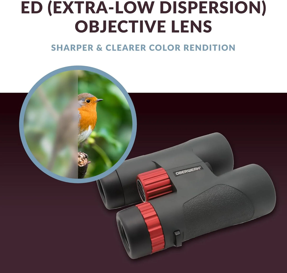 Binoculars (8x42mm) - Suitable for adults. hiking and outdoor activities. as well as for advanced bird watching. Professional type binoculars.