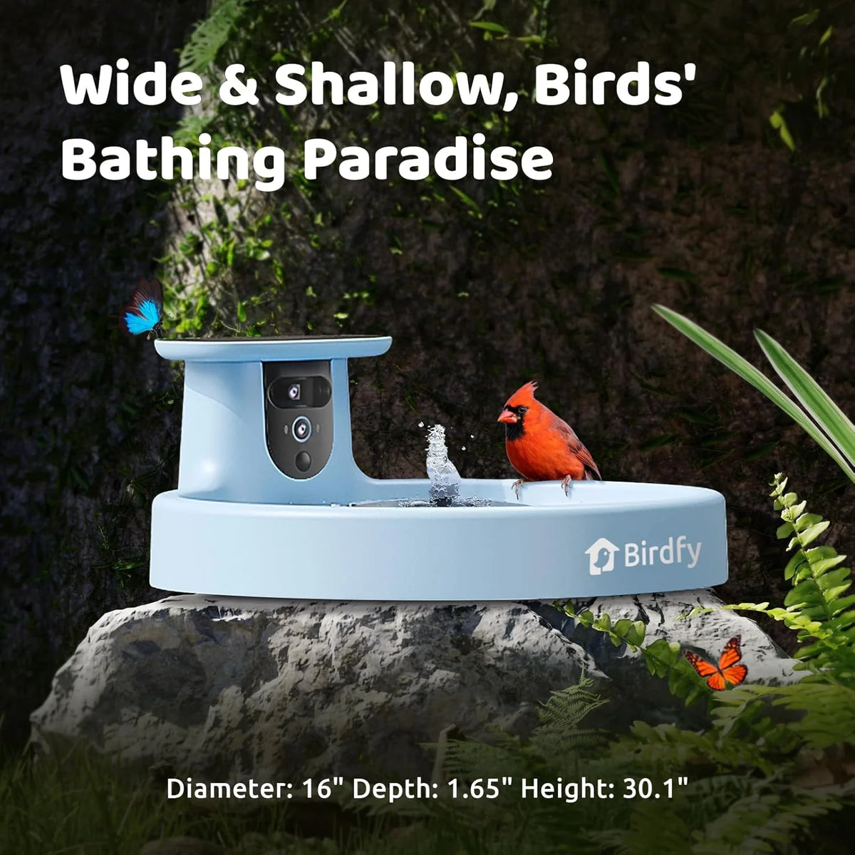 Smart Bird Bath. equipped with a camera. solar power supply. fountain and stand. It features a dual-lens camera for bird observation. automatically captures bird videos and has motion detection functionality.