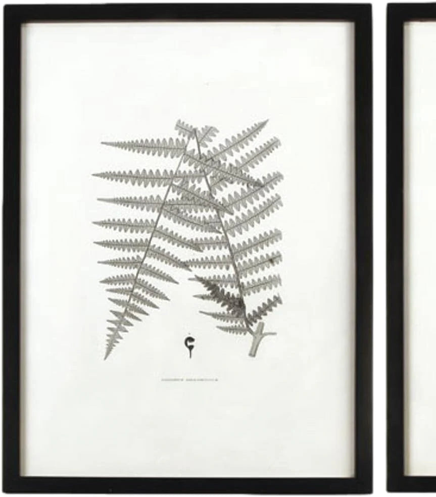 MY SWANKY HOME Modern Set of 6 Black White Fern Prints Botanical Framed Monochrome 29 in