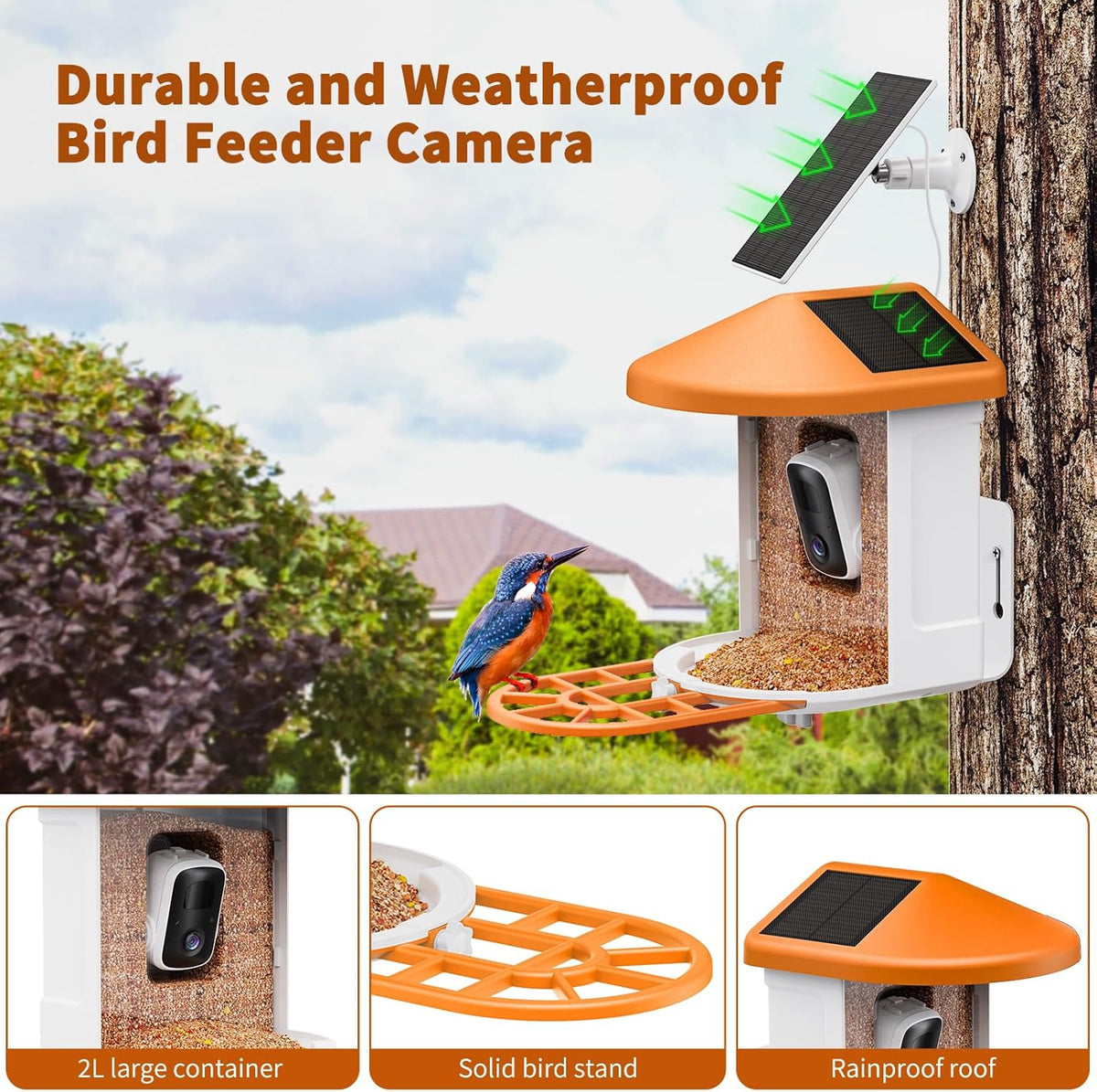 Bird Feeder with Camera with AI Identify Birds Species Solar Panel. Smart Bird House with Cam. 2K Live View. Instant Arrival Alerts