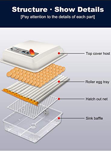 Egg Incubator - Egg Incubator with Automatic Egg Turning and Humidity Control.Large Poultry Hatcher for Chickens Birds Ducks (176 Eggs)