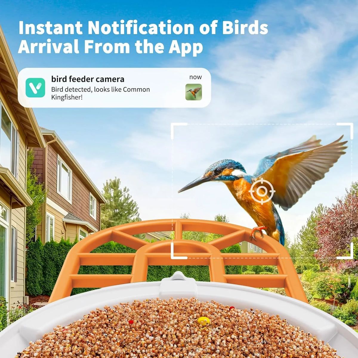Bird Feeder with Camera with AI Identify Birds Species Solar Panel. Smart Bird House with Cam. 2K Live View. Instant Arrival Alerts