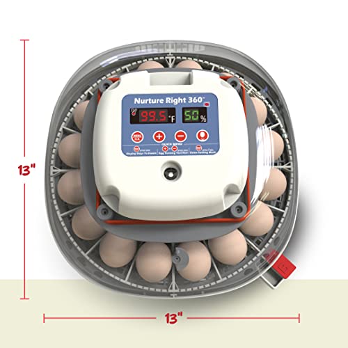 Nurture Right Egg Incubator for Hatching Chicks - Holds 22 Eggs