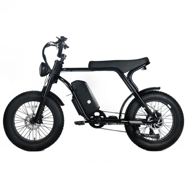 Electric Mountain Bike for Adults | 20 x 4.0 Fat Tires. 1000W Motor. 48V 20Ah Removable Battery. Max Speed 45MPH. Shi Mano 7-Speed for Off-Road Adventures