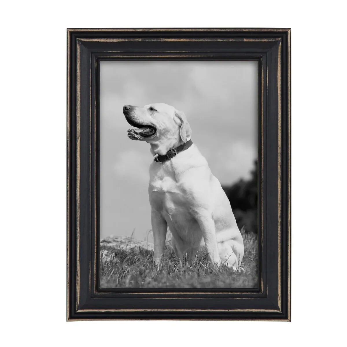 10-Piece Wood Gallery Wall Picture Frame Set. Decorative Photo Display Frames for Living Room. Bedroom and Home Decor