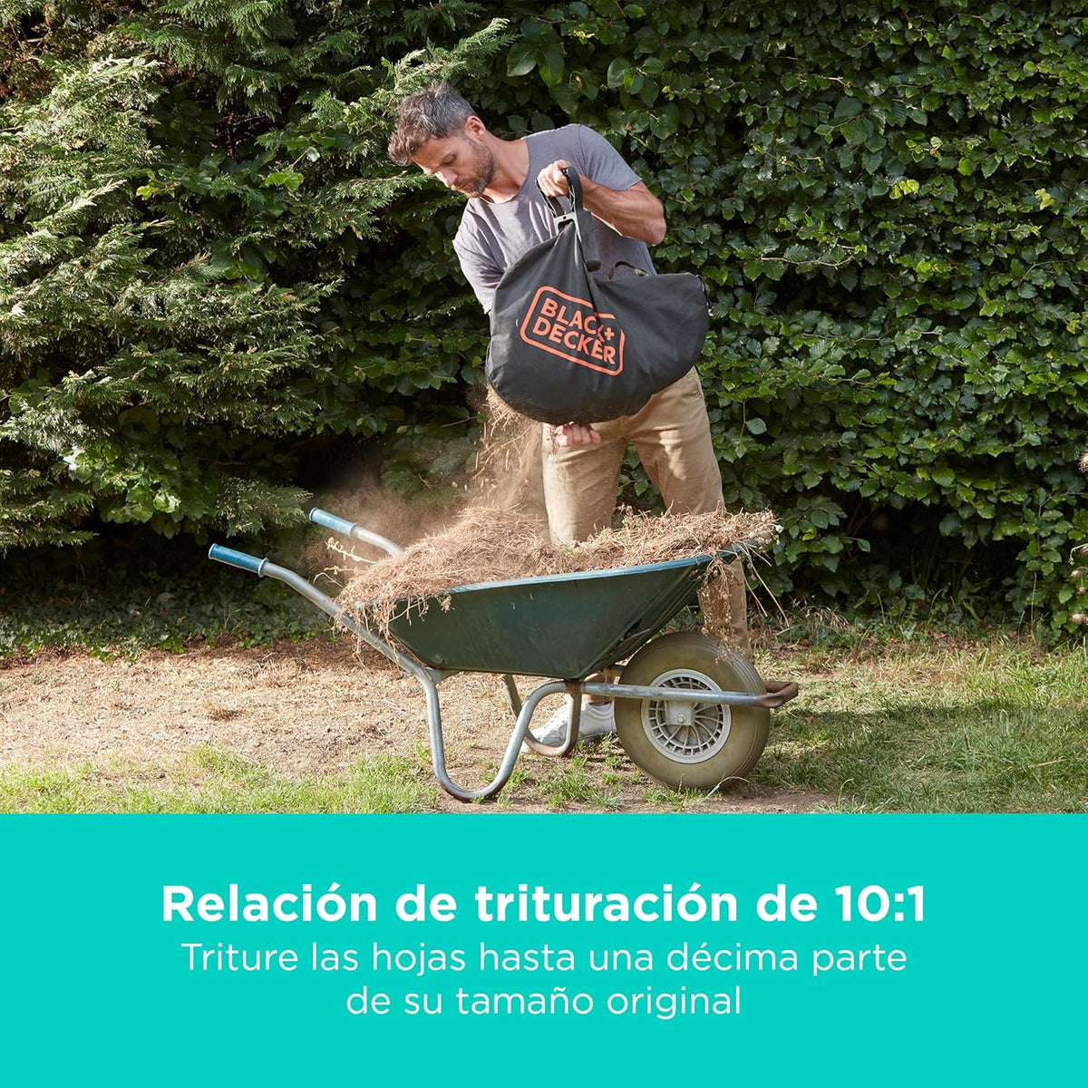 BLACK+DECKER Sopladora. aspiradora y trituradora de Hojas sin Cable de 36v. con Bolsa de recolección de 45L y batería de Litio de 2.5Ah. BCBLV3625L1-