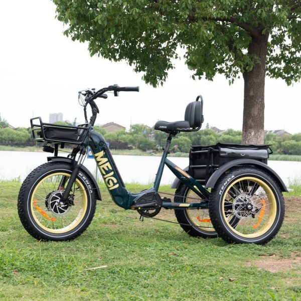 48V 14Ah 750W Foldable Fat Tire Electric Trike. 330-Lb. Capacity
