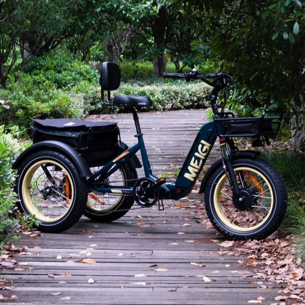 48V 14Ah 750W Foldable Fat Tire Electric Trike. 330-Lb. Capacity