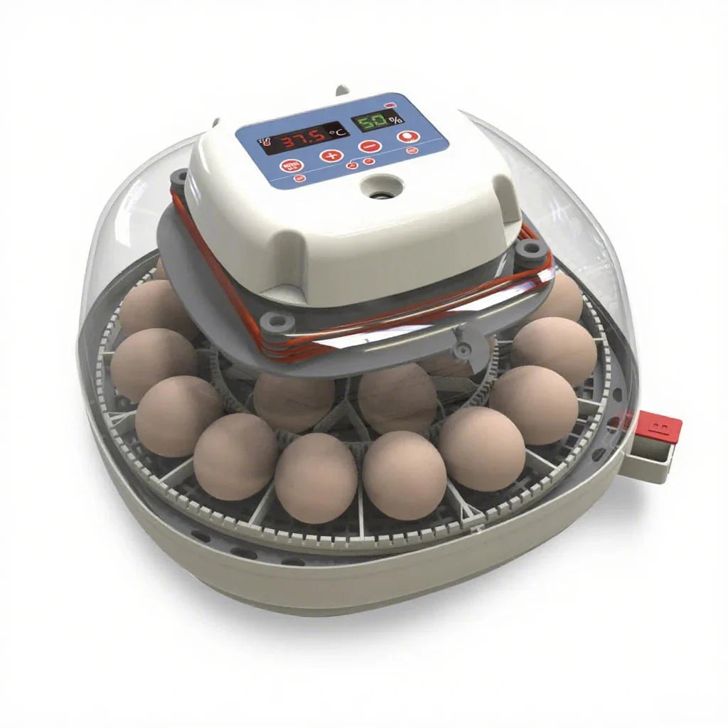 Farms Nurture Right Egg Incubator for Hatching Chicks - Holds 22 Eggs